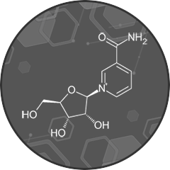 Nicotinamide Riboside